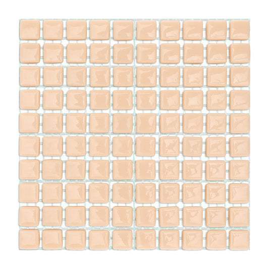 C11 Flesh Glass Blocks on Mesh Orange Mosaic Tiles - 100pcs