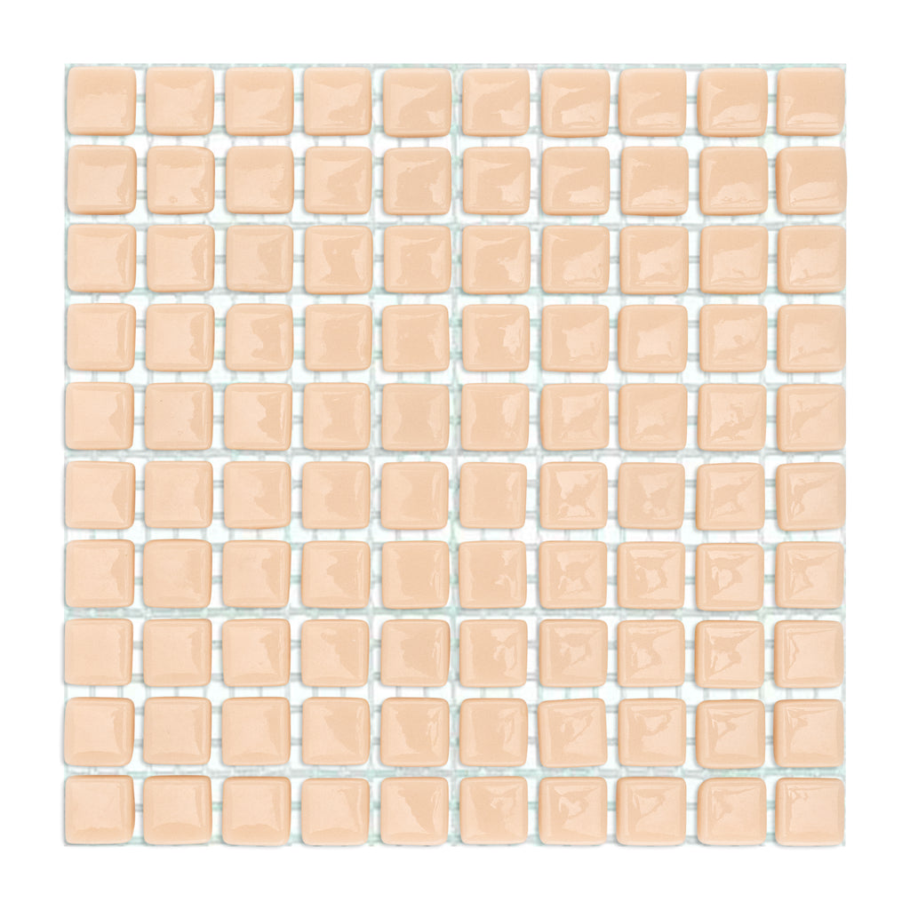 C11 Flesh Glass Blocks on Mesh Orange Mosaic Tiles - 100pcs