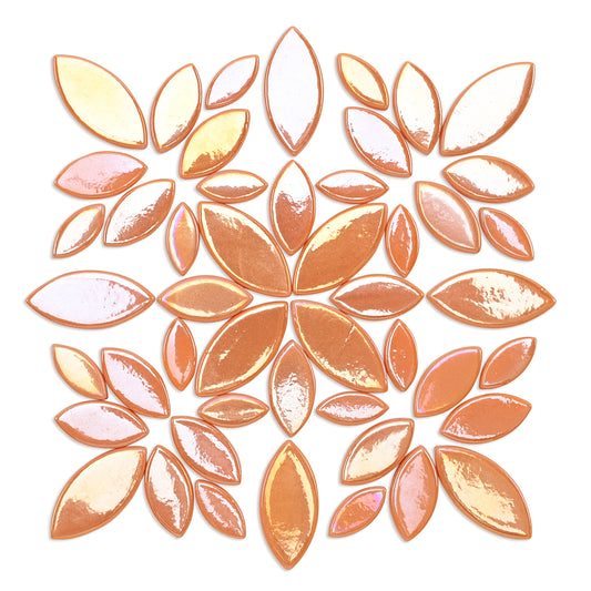 Orange Iridised Leaf & Petal Shapes 250g